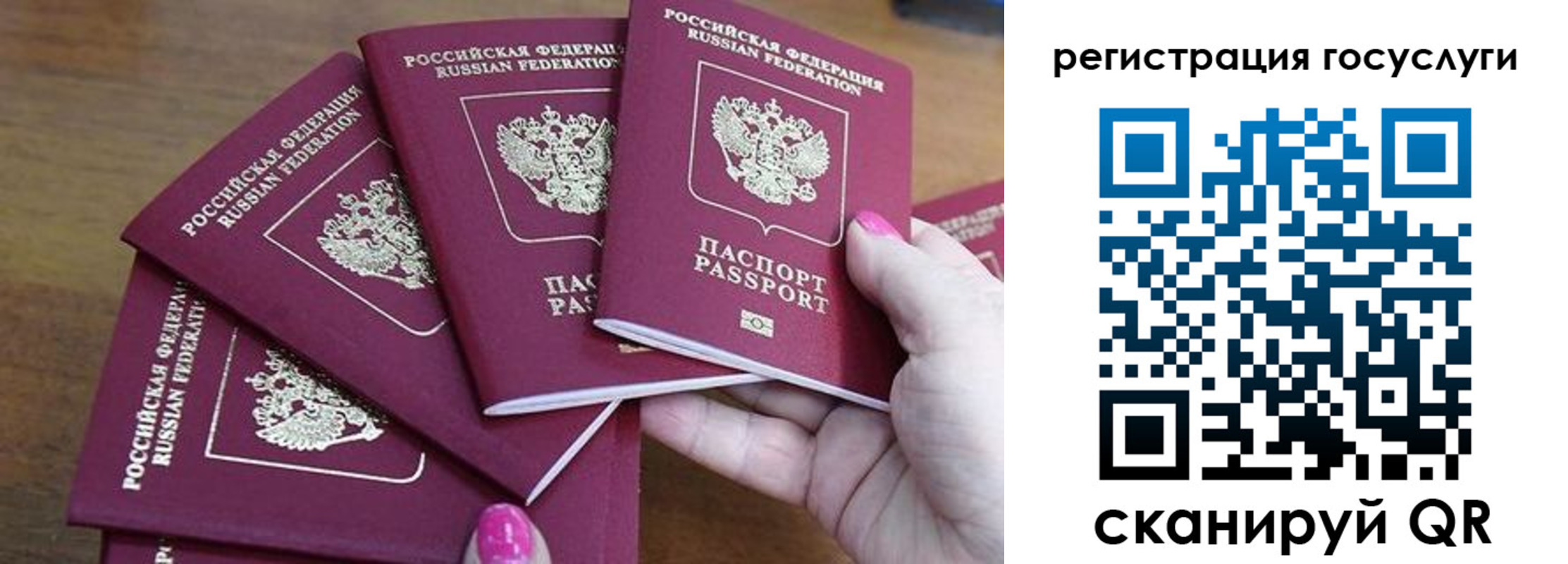прописка в Выборге